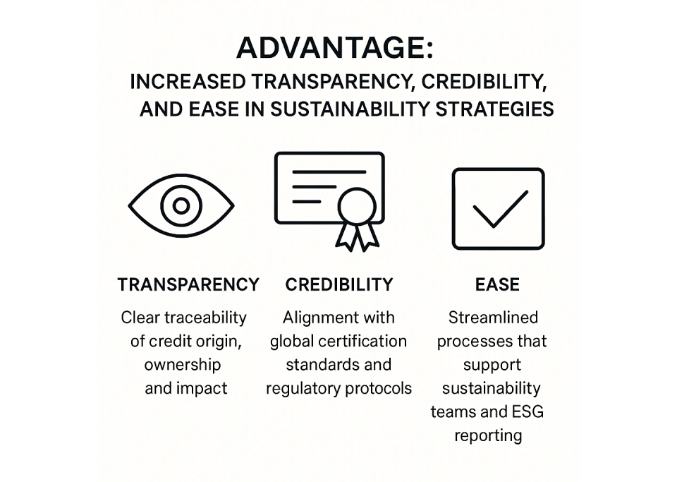 Net zero, sustain os, path to net zero
